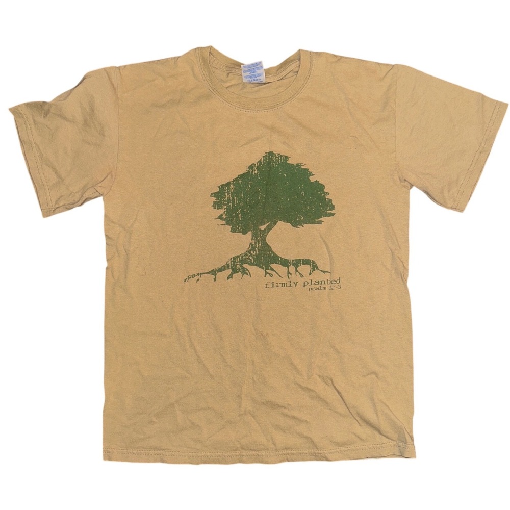 Gildan Ultra Cotton Tan Firmly Planted Psalm 1:1-3 Tree Graphic T-Shirt Small